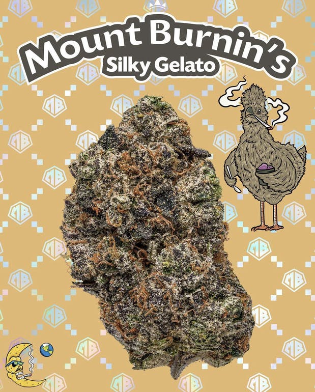 Strain Image